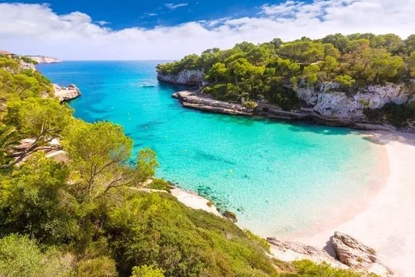 https://cdn.dinacode.com/levelup-featured/public-read/ad/baleares/85aef10b-d6b4-4b7c-8856-73d002a6d37b/f50c1f48-680d-4d6d-8419-692b3ee28444%3Frule%3Ddetail_640x480