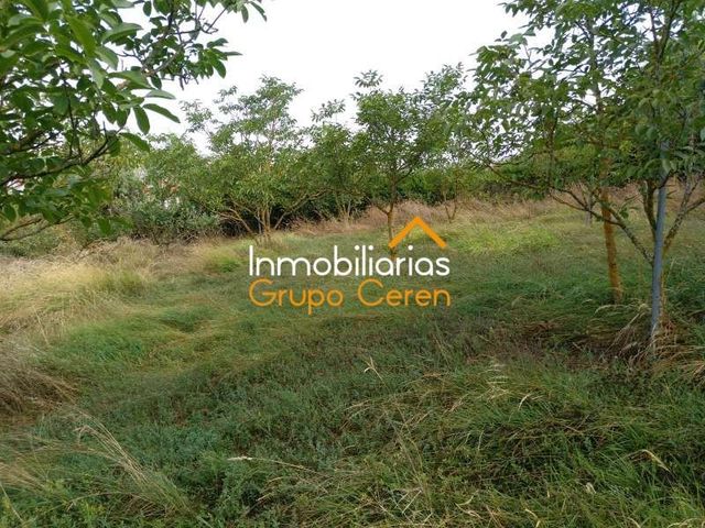 https://cdn.dinacode.com/levelup-featured/public-read/ad/burgos/26a5108a-42f5-461c-8089-5fba7535fd28/a7767bf2-90b1-4a51-9b9e-10c5fb81bdc1%3Frule%3Ddetail_640x480
