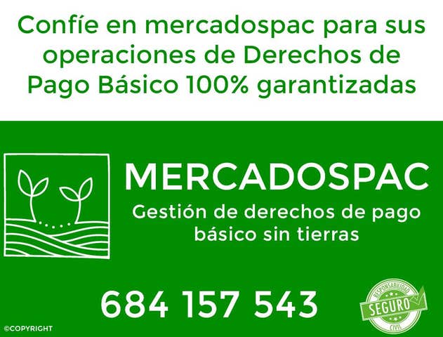 https://cdn.dinacode.com/levelup-featured/public-read/ad/caceres/90218930-9830-4319-bc39-d00c272230da/e0726af1-894f-44b1-8315-bef6d8273c03%3Frule%3Ddetail_640x480