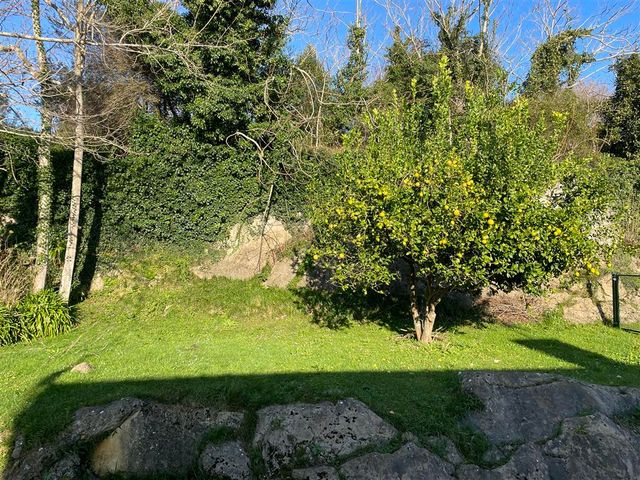 https://cdn.dinacode.com/levelup-featured/public-read/ad/cantabria/27274f31-5d62-42d0-bb9b-1310682ce152/3a453a42-e8b3-4e07-ada2-393200dc1335%3Frule%3Ddetail_640x480