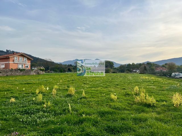 https://cdn.dinacode.com/levelup-featured/public-read/ad/cantabria/61e66e47-039f-41c1-bd48-4b326d000944/0148c9b9-d4e9-45f7-a132-743d99da531d%3Frule%3Ddetail_640x480