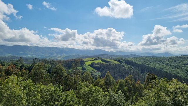 https://cdn.dinacode.com/levelup-featured/public-read/ad/cantabria/cbb183bb-fd75-4f21-8b53-fc870bffcd70/e55c4654-f5a3-4b7f-9f97-cca7d0e23bbd%3Frule%3Ddetail_640x480