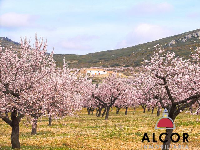 https://cdn.dinacode.com/levelup-featured/public-read/ad/castellon/941fea8a-dcc0-4d83-8e12-67bc8fe18a7d/f81a92c2-87bd-432a-9457-a4f3c36f26a7%3Frule%3Ddetail_640x480