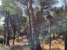 https://cdn.dinacode.com/levelup-featured/public-read/ad/castellon/cd85636f-f3ae-47ae-aac0-abd76771a5a9/acb8d894-f237-4723-ac40-1bd84d3b66f1%3Frule%3Ddetail_640x480