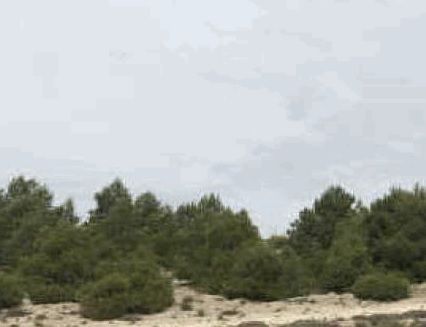 https://cdn.dinacode.com/levelup-featured/public-read/ad/cuenca/d561c81b-b248-423d-a29d-a3391dc6d03d/0381f15e-bd96-42da-97a6-fd2ef6da1ce8%3Frule%3Ddetail_640x480