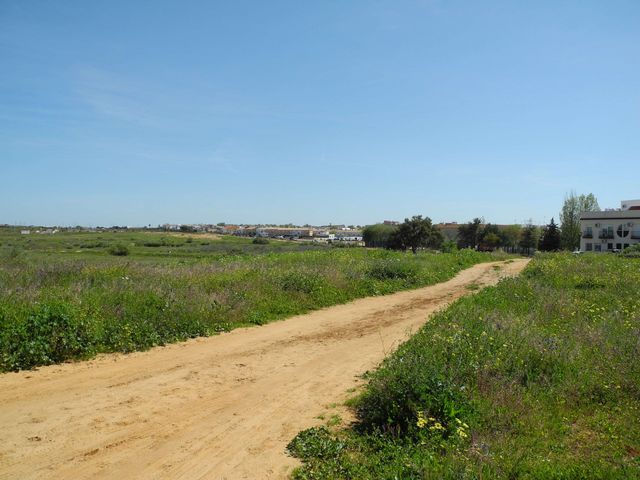 https://cdn.dinacode.com/levelup-featured/public-read/ad/huelva/79360532-31be-4bcf-9d67-abd9ed31e9ca/d22dced4-c855-4b05-85f3-0e80f97c50b8%3Frule%3Ddetail_640x480