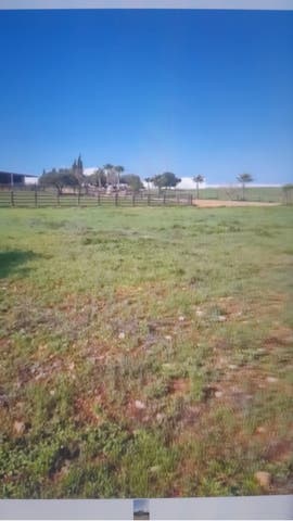 https://cdn.dinacode.com/levelup-featured/public-read/ad/huelva/8ba73d37-50ce-478e-9409-b8f2a750e6fe/a9f87379-6194-46a8-a979-c47215259780%3Frule%3Ddetail_640x480