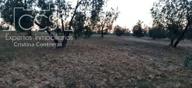 https://cdn.dinacode.com/levelup-featured/public-read/ad/huelva/b831df3a-ae0e-4d63-8966-7045314320a0/38d33b2a-ee7d-4b9a-b4bb-95bcbdaffc12%3Frule%3Ddetail_640x480