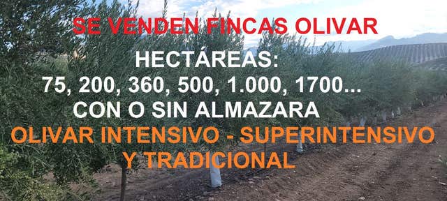 https://cdn.dinacode.com/levelup-featured/public-read/ad/jaen/5ba92b7c-4968-4cef-98e5-0bfcb3036a13/0890fcee-c70b-4116-825f-74abd4784369%3Frule%3Ddetail_640x480