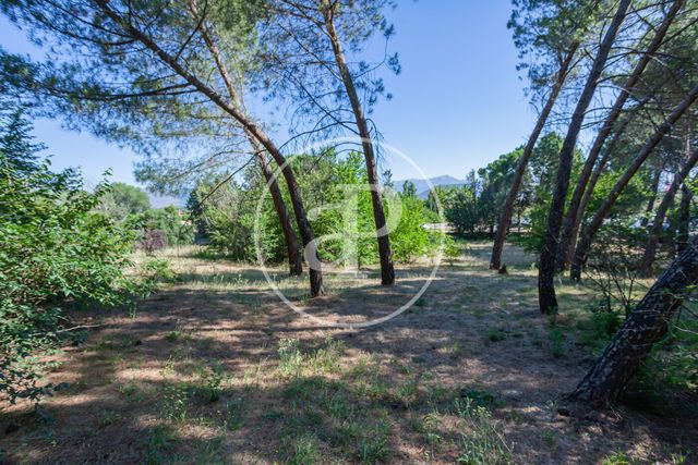 https://cdn.dinacode.com/levelup-featured/public-read/ad/madrid/026e4819-3312-4c52-9db7-ac17c2d6dc77/a463258a-51e6-4328-b04f-efb0b097555e%3Frule%3Ddetail_640x480