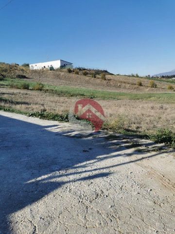 https://cdn.dinacode.com/levelup-featured/public-read/ad/malaga/04693289-36b9-4775-85ae-e4ba63e13b8d/c83d3cb5-6f40-42f8-9fa2-40a1934a1434%3Frule%3Ddetail_640x480