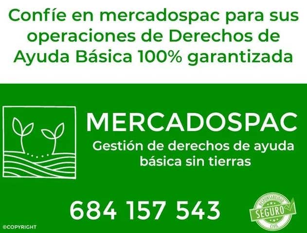 https://cdn.dinacode.com/levelup-featured/public-read/ad/malaga/cc0981b6-b494-4fc6-b880-03190d802669/d1d41e86-ec4e-4986-b06a-f2cd53e7c03f%3Frule%3Ddetail_640x480