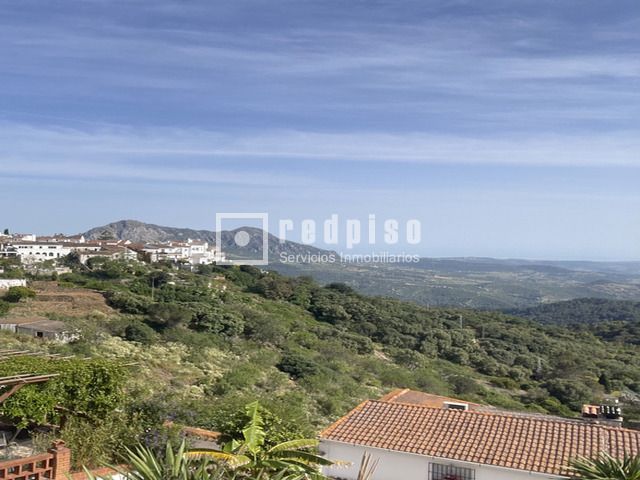 https://cdn.dinacode.com/levelup-featured/public-read/ad/malaga/de3a81f3-8ec3-41d4-863e-1b912de66f1e/b2684258-cd9c-48ea-b610-3d8f07c92270%3Frule%3Ddetail_640x480