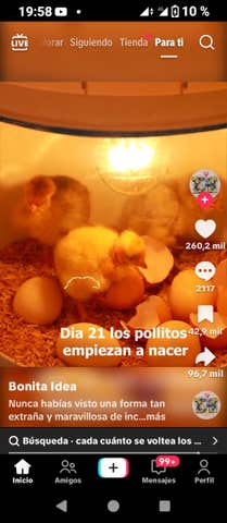 https://cdn.dinacode.com/levelup-featured/public-read/ad/navarra/abc3502c-d538-4221-af4f-1d1ec91c3c48/61455954-55e4-49c3-917c-e6585701cf18%3Frule%3Ddetail_640x480