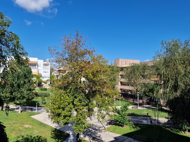 https://cdn.dinacode.com/levelup-featured/public-read/ad/sevilla/09273340-df2a-4dbf-a548-8ae6fa5394e0/60ce5d23-b220-401f-a0b8-c4f77f9d3f7f%3Frule%3Ddetail_640x480