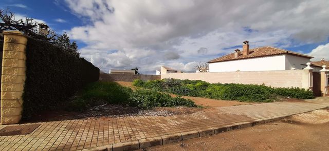 https://cdn.dinacode.com/levelup-featured/public-read/ad/sevilla/a610999d-8793-44a1-b473-b6624ef6902a/b7561f91-ec59-43b4-9fb1-11f1bca7352a%3Frule%3Ddetail_640x480