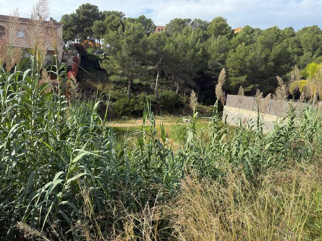 https://cdn.dinacode.com/levelup-featured/public-read/ad/tarragona/6044d93e-3541-4e90-ae2c-e07153319410/44706e8c-99f0-4136-9d61-5bb6007e4528%3Frule%3Ddetail_640x480