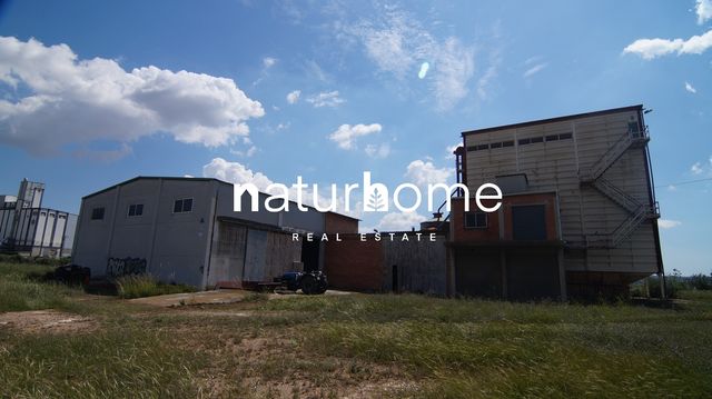 https://cdn.dinacode.com/levelup-featured/public-read/ad/tarragona/6ba9b8df-5c9e-4fa6-b56e-9ec852fc5257/4c24b007-98f4-42ce-81ce-90691d1f161d%3Frule%3Ddetail_640x480