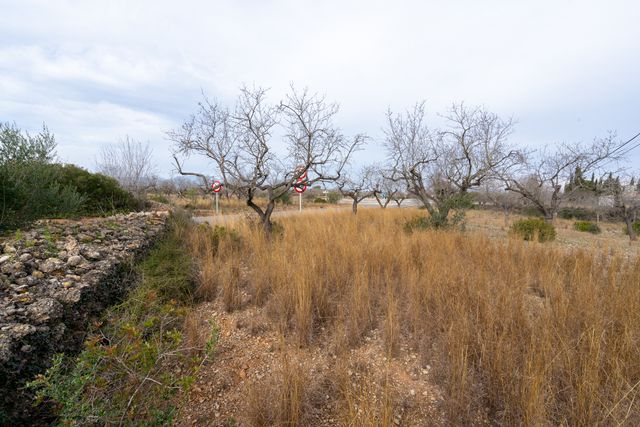 https://cdn.dinacode.com/levelup-featured/public-read/ad/tarragona/b19faa18-3d07-4347-965b-6b2ef615a08a/f66cbe83-92fe-4d7c-ad2f-f48086f70c4e%3Frule%3Ddetail_640x480