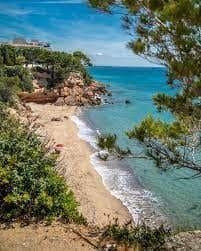 https://cdn.dinacode.com/levelup-featured/public-read/ad/tarragona/b8eb4781-f769-4b43-8b3d-3b1f1846ba51/8750c9f9-23e2-4d70-b58f-49869847d6a3%3Frule%3Ddetail_640x480