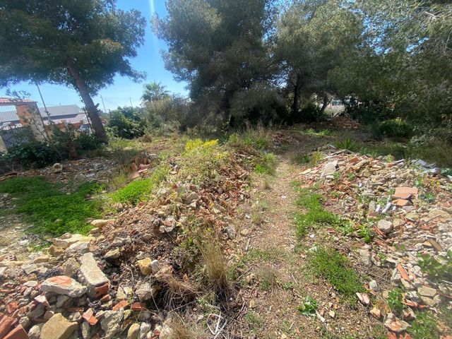 https://cdn.dinacode.com/levelup-featured/public-read/ad/tarragona/d10ea992-2389-4315-a370-9896a766b539/257c9927-7881-40ed-b840-6cf7dcb6664d%3Frule%3Ddetail_640x480
