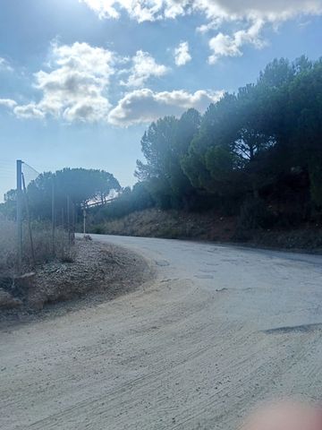 https://cdn.dinacode.com/levelup-featured/public-read/ad/tarragona/f449796d-baa2-4140-8f6f-741369b9e129/40f924cd-9c68-4c07-bc5d-c390c69e0c3c%3Frule%3Ddetail_640x480