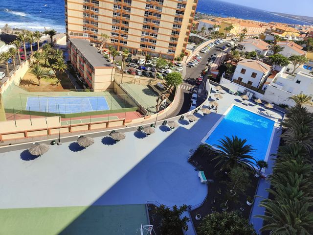 https://cdn.dinacode.com/levelup-featured/public-read/ad/tenerife/01c60944-373b-474c-a80c-14e07b955a1d/5329c06a-8662-4d14-99e8-8620c88babe2%3Frule%3Ddetail_640x480