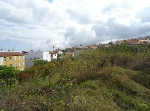 https://cdn.dinacode.com/levelup-featured/public-read/ad/tenerife/050182c1-c8c1-433e-966e-cf687d7112e6/63397da1-7fa1-4ac2-bbd8-1efa2a9a22a9%3Frule%3Ddetail_640x480