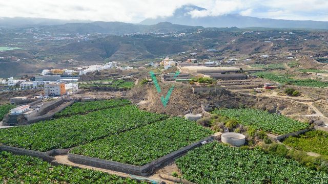 https://cdn.dinacode.com/levelup-featured/public-read/ad/tenerife/3c998af2-4d72-4cec-b689-c301b5bcf857/a92eb2ef-74e0-45fb-99db-f55fe5f32b85%3Frule%3Ddetail_640x480