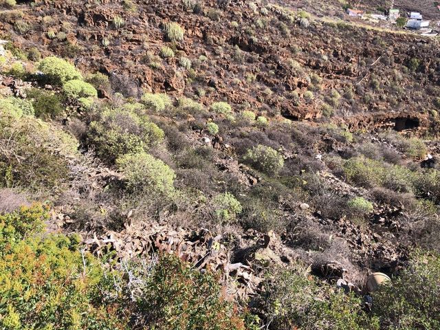 https://cdn.dinacode.com/levelup-featured/public-read/ad/tenerife/52e2d972-6efd-4529-b142-03679c4d5d14/9c6e8a93-cafb-4172-afba-f45895d9c5c1%3Frule%3Ddetail_640x480