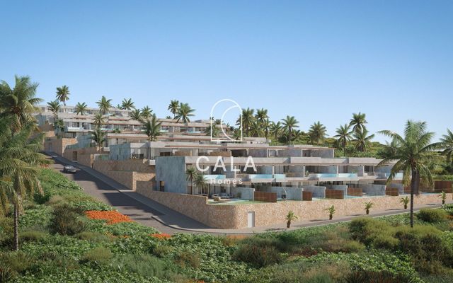 https://cdn.dinacode.com/levelup-featured/public-read/ad/tenerife/689a3d1d-61bf-4754-8f2c-ed0c7c990ac2/92abf1b2-8c0e-4cd5-acab-04c3c7583aaa%3Frule%3Ddetail_640x480