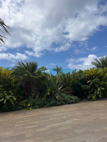 https://cdn.dinacode.com/levelup-featured/public-read/ad/tenerife/748a3902-b6e5-4031-99cd-7914a50d350d/73aa46c3-93ff-450c-9a4e-cbd53ae48c20%3Frule%3Ddetail_640x480