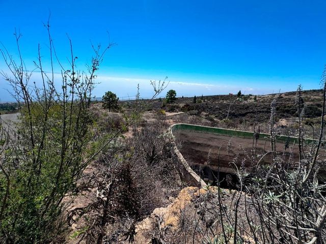 https://cdn.dinacode.com/levelup-featured/public-read/ad/tenerife/85e0671c-2016-4570-99a1-7067911567b2/7d5d6779-537a-47a1-9f3c-dbeadde5a046%3Frule%3Ddetail_640x480