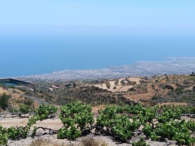 https://cdn.dinacode.com/levelup-featured/public-read/ad/tenerife/99487d12-5d19-41e2-8e7c-9d88852bb6da/9e3c73da-a5df-4002-a794-d951ee41ce0c%3Frule%3Ddetail_640x480
