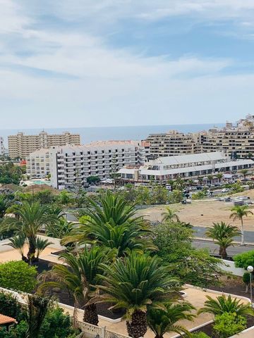 https://cdn.dinacode.com/levelup-featured/public-read/ad/tenerife/bebe4175-4ab2-4203-88b5-8e0eb2d4fc6d/106371a8-525b-4825-9762-f7667ed65d43%3Frule%3Ddetail_640x480