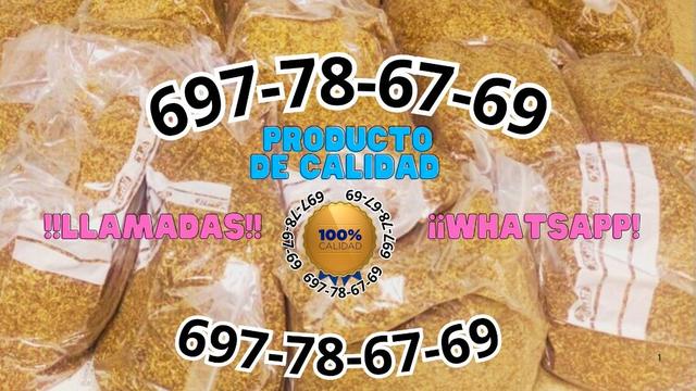 https://cdn.dinacode.com/levelup-featured/public-read/ad/todas/1e31da93-e792-4945-b743-d728758fe36b/b6cd86a1-5d8a-4694-bdc3-b721a33d76dc%3Frule%3Ddetail_640x480