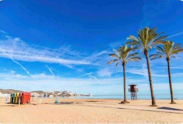 https://cdn.dinacode.com/levelup-featured/public-read/ad/valencia/6c4844d8-502a-43d5-ad2a-54332da3cc19/aa297458-bdf1-4a87-9696-4fe22914f423%3Frule%3Ddetail_640x480
