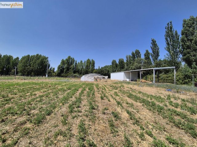 https://cdn.dinacode.com/levelup-featured/public-read/ad/valladolid/12a93d4b-a1bb-4241-b037-276e387d8aa7/affb6b30-70f3-4cd3-80a2-acb638fc5e2f%3Frule%3Ddetail_640x480