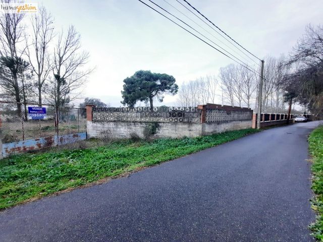 https://cdn.dinacode.com/levelup-featured/public-read/ad/valladolid/46ea79ca-e445-450b-916e-640a8c7e5d18/4aaf4271-92bd-4024-b812-218aff24f3aa%3Frule%3Ddetail_640x480