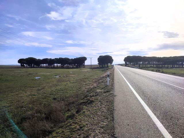 https://cdn.dinacode.com/levelup-featured/public-read/ad/valladolid/a03c9a58-4cc6-4c0c-a919-aa2c6d69af73/a667531b-1e2e-40aa-9395-94105f512f43%3Frule%3Ddetail_640x480