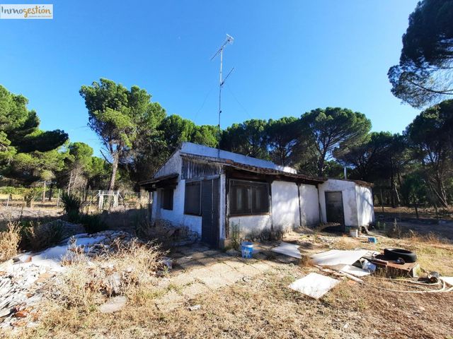 https://cdn.dinacode.com/levelup-featured/public-read/ad/valladolid/b7994af5-742d-40cd-8a77-bad9489ddb02/d869fffb-db07-4981-ba5c-2dbee69b4b7b%3Frule%3Ddetail_640x480