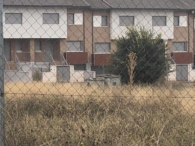 https://cdn.dinacode.com/levelup-featured/public-read/ad/valladolid/c290636f-b0fe-4b2c-b946-aa9542743baf/342eaf03-1331-48c2-9408-2a94435f50e4%3Frule%3Ddetail_640x480