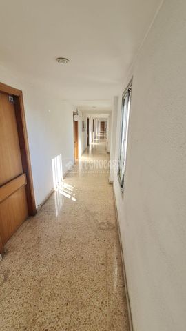 https://cdn.dinacode.com/levelup-featured/public-read/ad/zaragoza/754e5bd8-437d-46e5-b6b8-e57344bdb7c6/e106ea69-264e-46f5-a48d-26916305c095%3Frule%3Ddetail_640x480