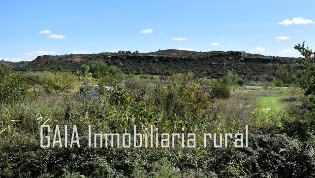 https://cdn.dinacode.com/levelup-featured/public-read/ad/zaragoza/dd33f494-7bc3-458f-8a8a-3a03959a7592/7b21ca74-67a3-4300-8f44-b3ac5bf1c7ae%3Frule%3Ddetail_640x480